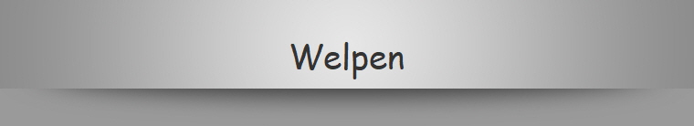 Welpen